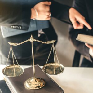 Reclamación Daños + Perjuicios Pro